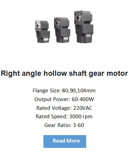 Bldc Motor, 48V, 24V, 110V, 220V - detail 6