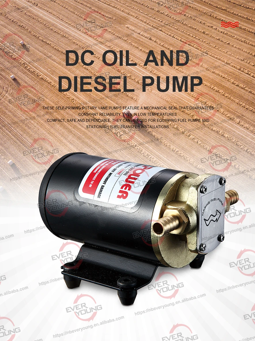 1223c Dc Pump Oil Transfer Electric Oil Pump 12v 24v Lubricant Gear Oil ...