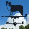 Collie de frontera