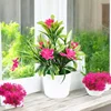 3  pink