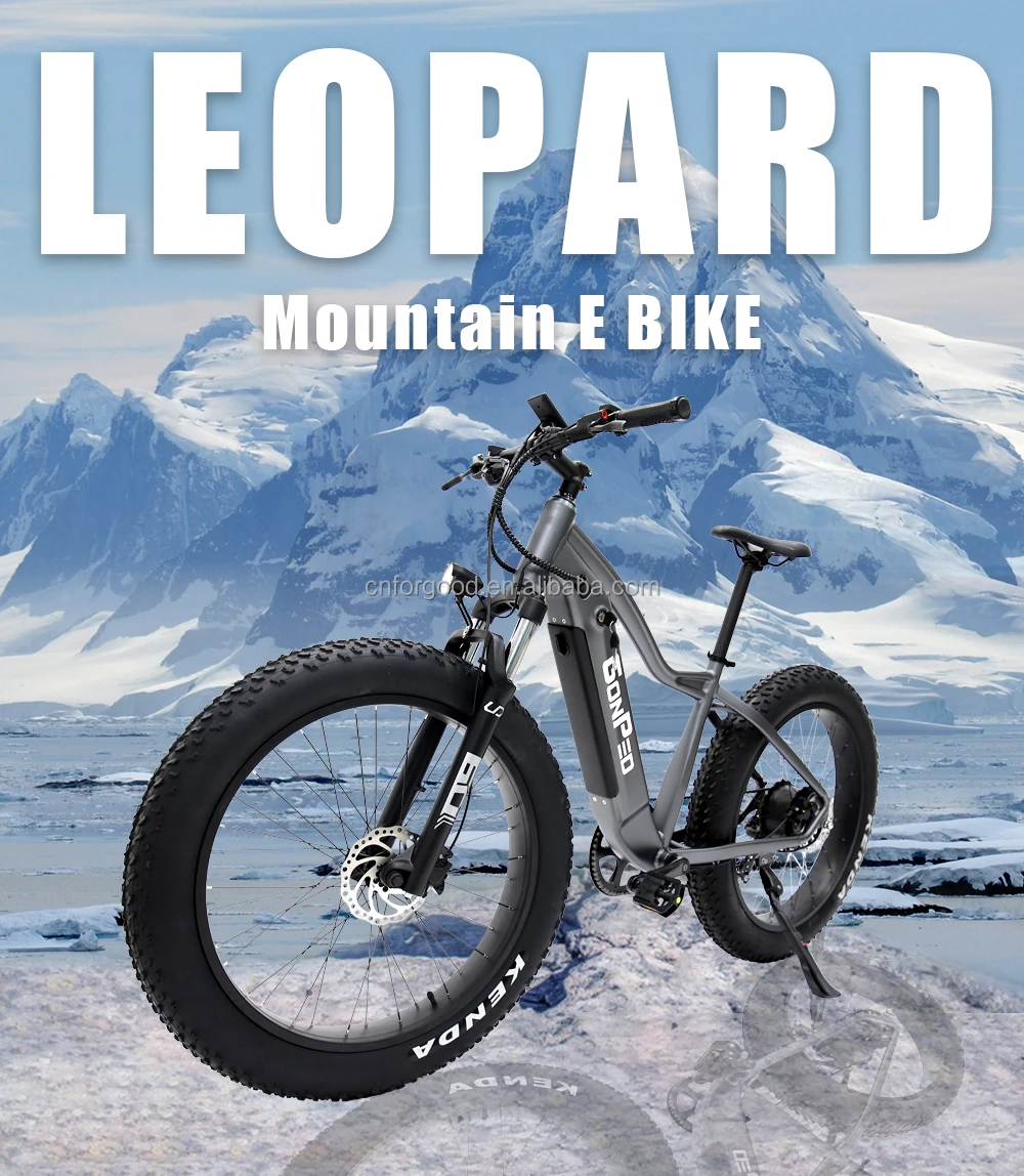 Electric 26 Inch Mtb 500w Fat Tire Mountain Bike With Hub Motor - Buy ...