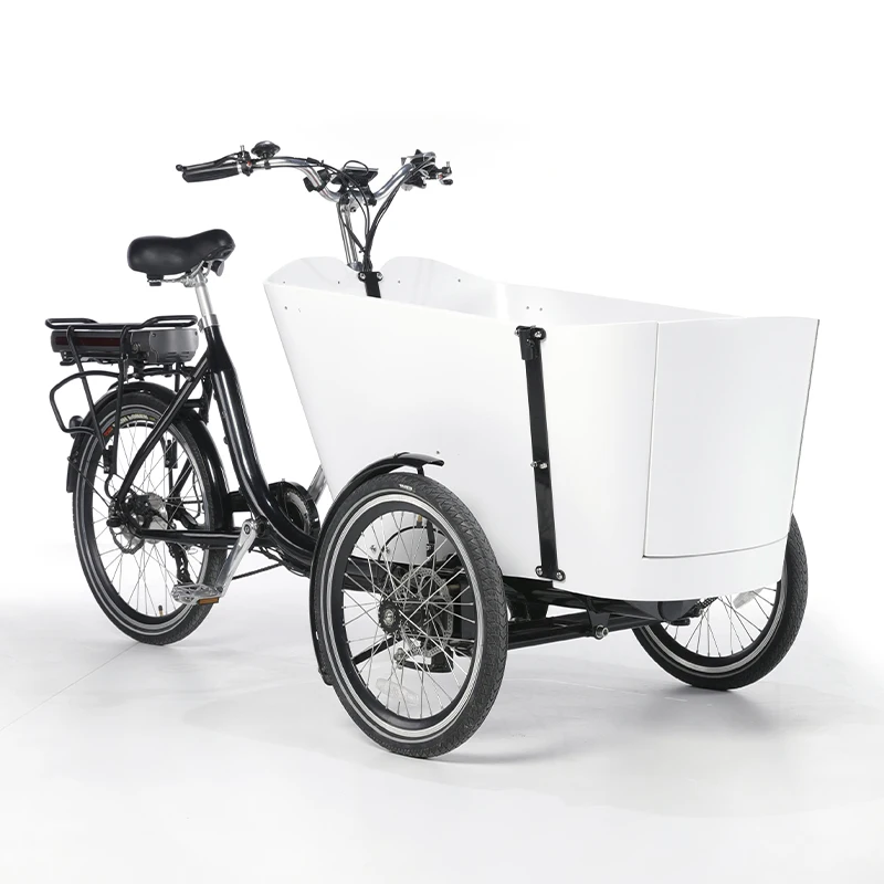 Factory Wholesale Price Durable Heavy Loading Cargo Electric Bike 3 Wheel Tricycle Bike Family Trike From China