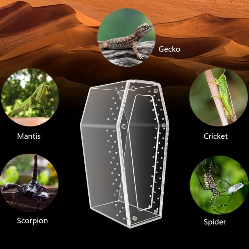 product acrylic jumping spider habitat versatile reptile enclosure transparent insect terrarium habitat for spiders tarantula gecko-7