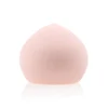 Skin Makeup Sponge