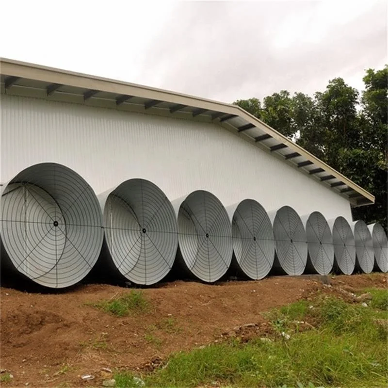 Lowest Price Automatic Poultry Control Shed Equipment for Chicken Broiler