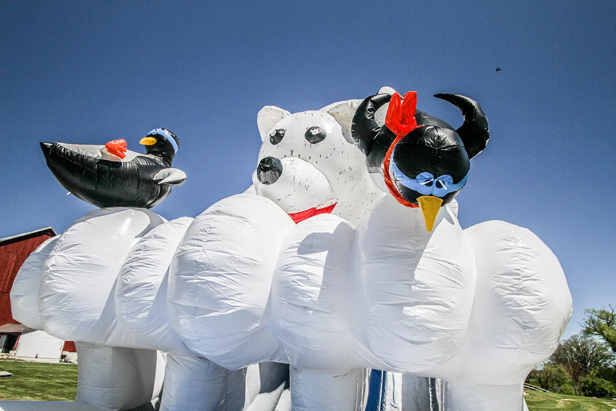 Polar Bear Slide 5.jpg