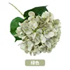 Hortensia única 3D verde