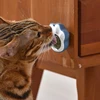 Blue Paw Catnip ball