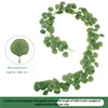 Eucalipto verde da 2 metri