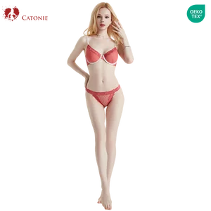 Popular Design Bra Wholesale Fashionable Lace Underwear Set Sex Women's Lingerie Set
