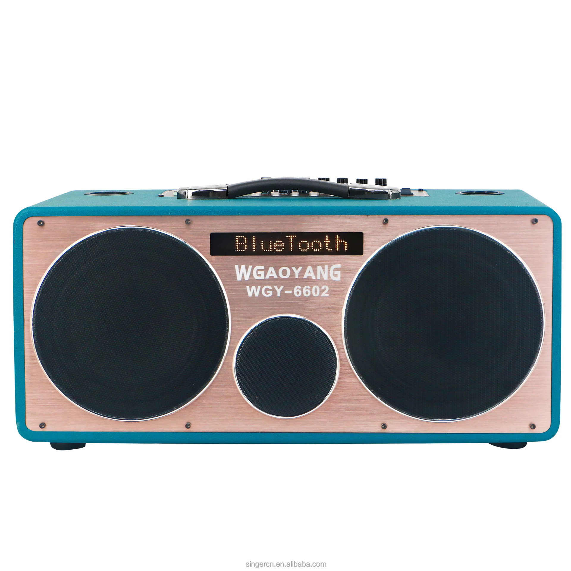Portable Outdoor Karaoke Speaker with Bluetooth, Dual Microphones