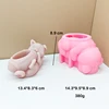 Pink Rugby dog