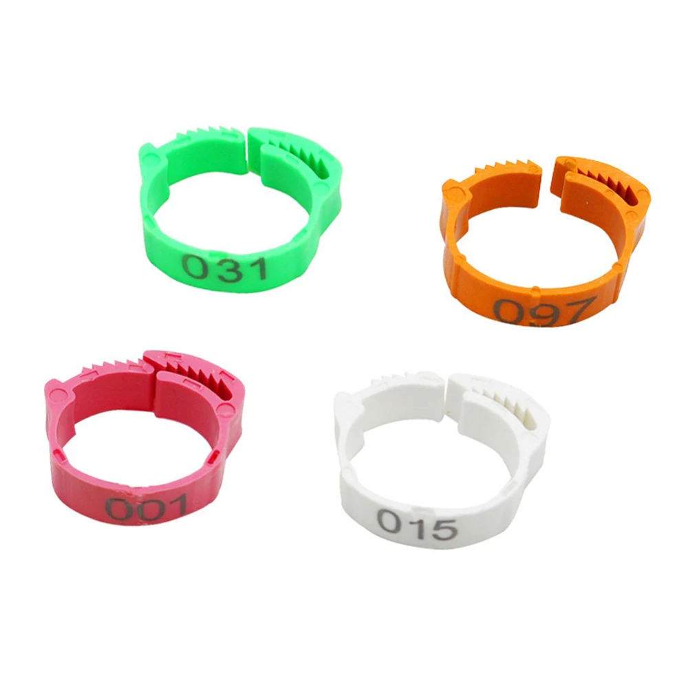 Cincin Kaki Ayam Bebek Angsa Gesper Cincin Kaki Digital Bisa Disesuaikan Buy Kaki Ayam Cincin Unggas Cincin Kaki Ayam Cincin Product On Alibaba Com