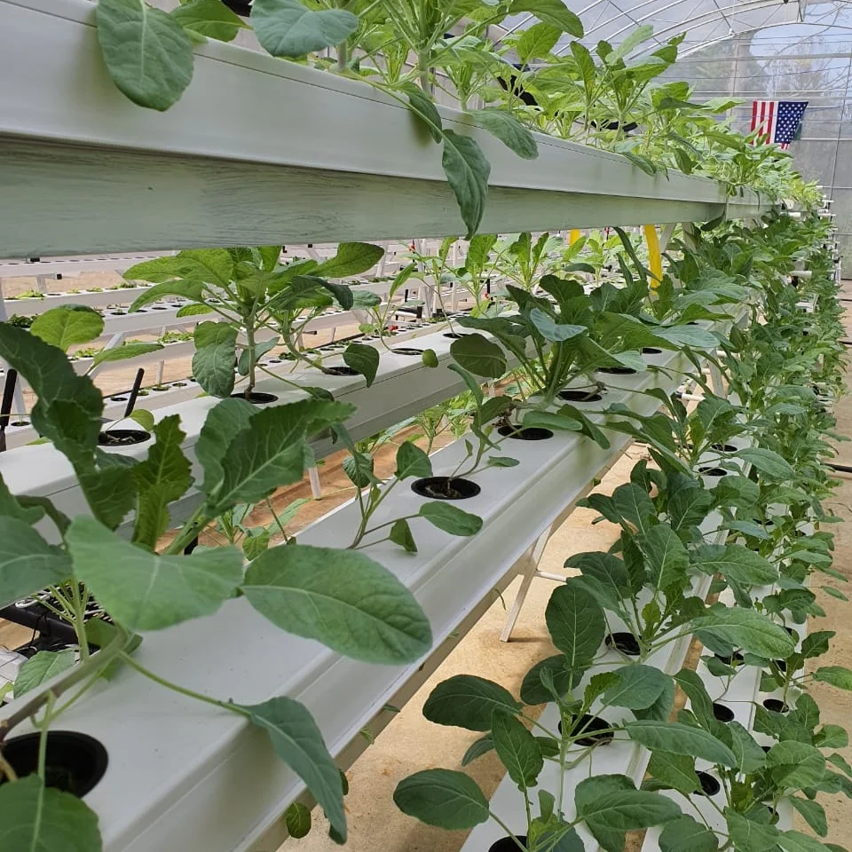 nft hydroponics