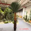 Cabeza de piña totalmente verde, 260 cm.
