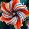 5# orange-yellow