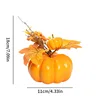 Orange size pumpkins