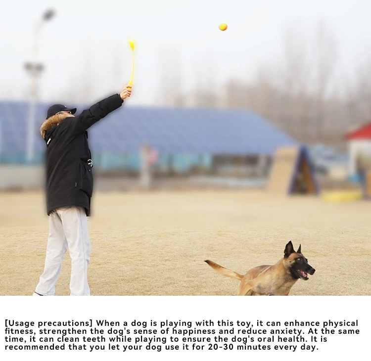 NEW Pet Supply Factory Wholesale Company's New  Bite Sound Dog Toy Outdoor Ball Thrower factory