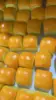 bread squishy