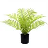 Herbe ondulée 40cm-8 feuilles