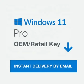 Hot Sale Key Windows 11 Pro Software Original OEM/retail Digital Key within 24r Send by Email Windows 11 Pro License key
