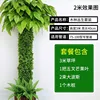 Woody Forest Set A