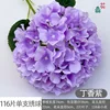 116 กลีบต่อหนึ่งก้าน สีม่วงไลแลค