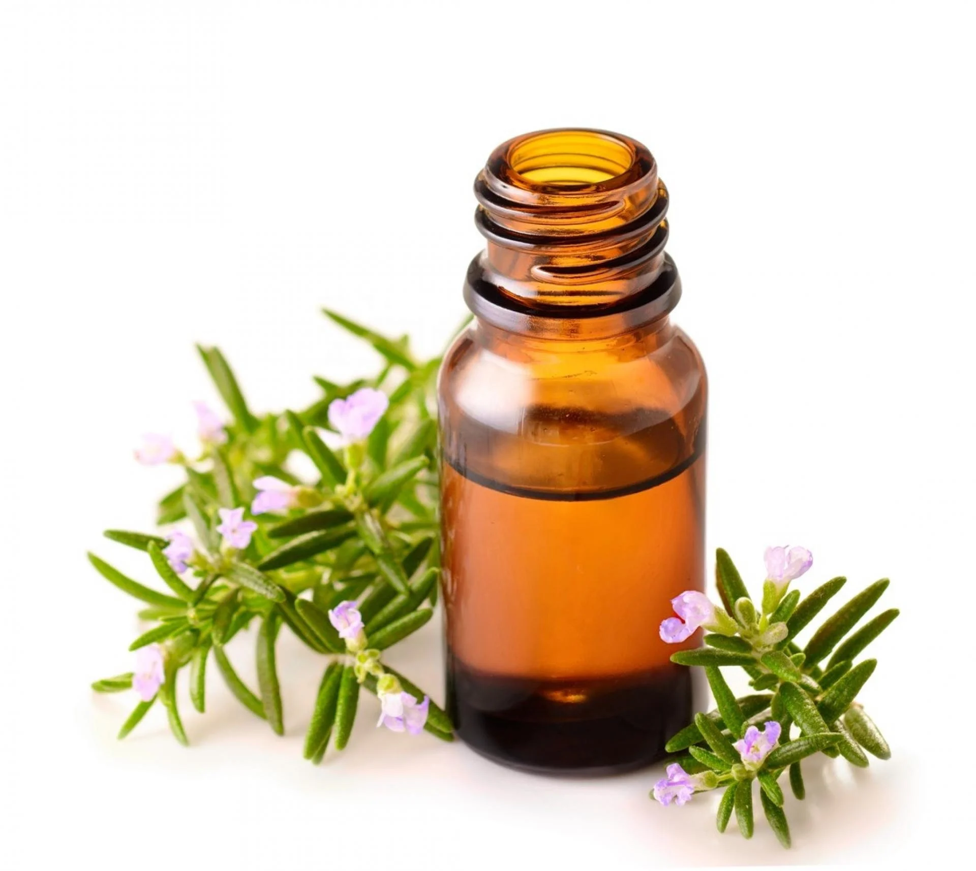 organic essential rosemary oil - buy essential oil 100% pure