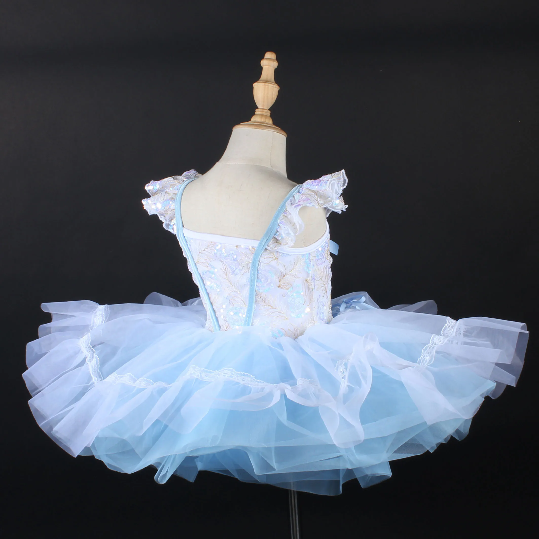 Lovely Girl Princess Dress Flower Sequin Ballet Dance Dress Professional Stage Performance Dance Wear