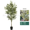 Olivo da 210 cm