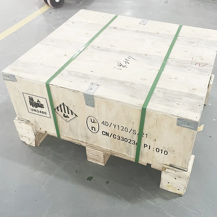 Enerlution 、 Hybess - Green New Convalials 1000WH Solar Generator Power Protable Generator for Outdoors Camping Travel Portable Protable Station 13