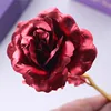 -Red Single rose