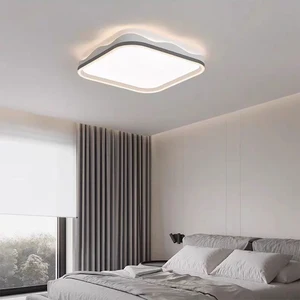 Modern LED Acrylic Ceiling Light for Home Living Room Remote Control Aisle Lamp Corridor Balcony Entrance Lamp
