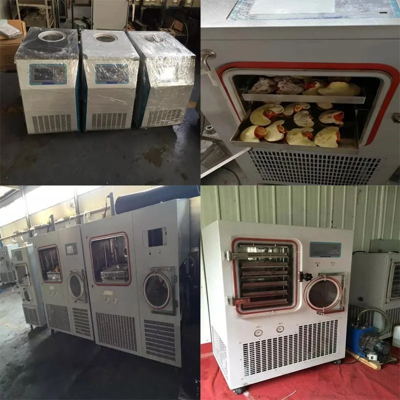 Home Lyophilization Homemade Food Freeze Dryer Household Vacuum Pump