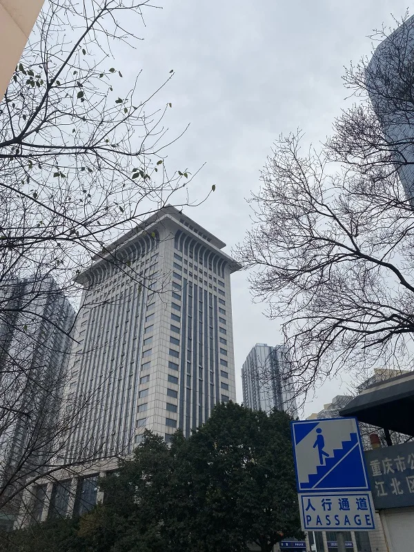 Chongqing Longshine Import And Export Co., Ltd. 3