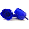 rose royal blue