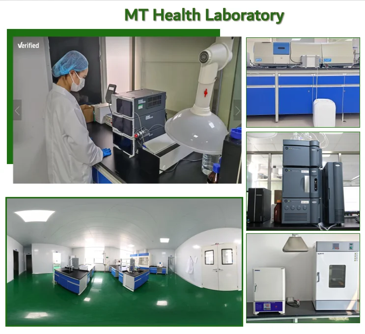 ISO Mushroom Extract Factory Supply Pure Natural Free Sample Food Grade Polysaccharides Dictyophora Indusiata Extract