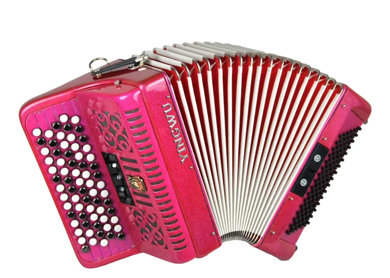 Parrot YW663-B Accordion - 69 Keys, 96B Buttons, Origin CN