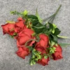 Primavera rossa