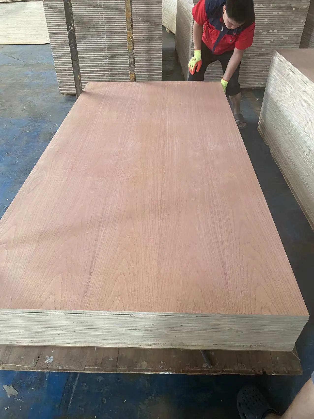 4x8 18mm 1200x2400mm Red Pencil Cedar Commercial Plywood Sheet Buy Cedar Plywoodred Cedar 5020