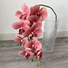Flesh Pink