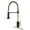 Robinets de cuisine Gold + Black avec plaque