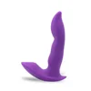 Púrpura (Vibrador Anal Portátil)