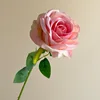 04-rosa