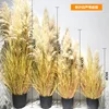 Autumn-leaved white reed bonsai