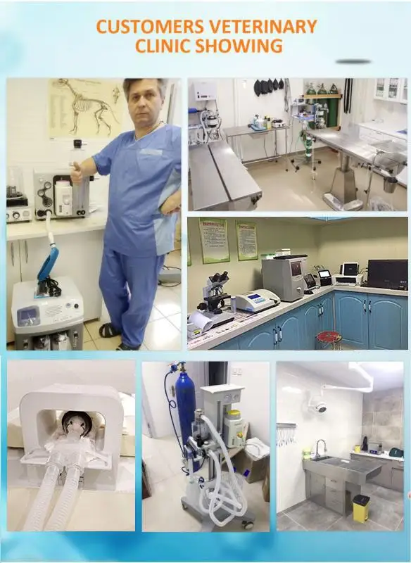 Pet Hospital