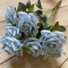 Bleu clair