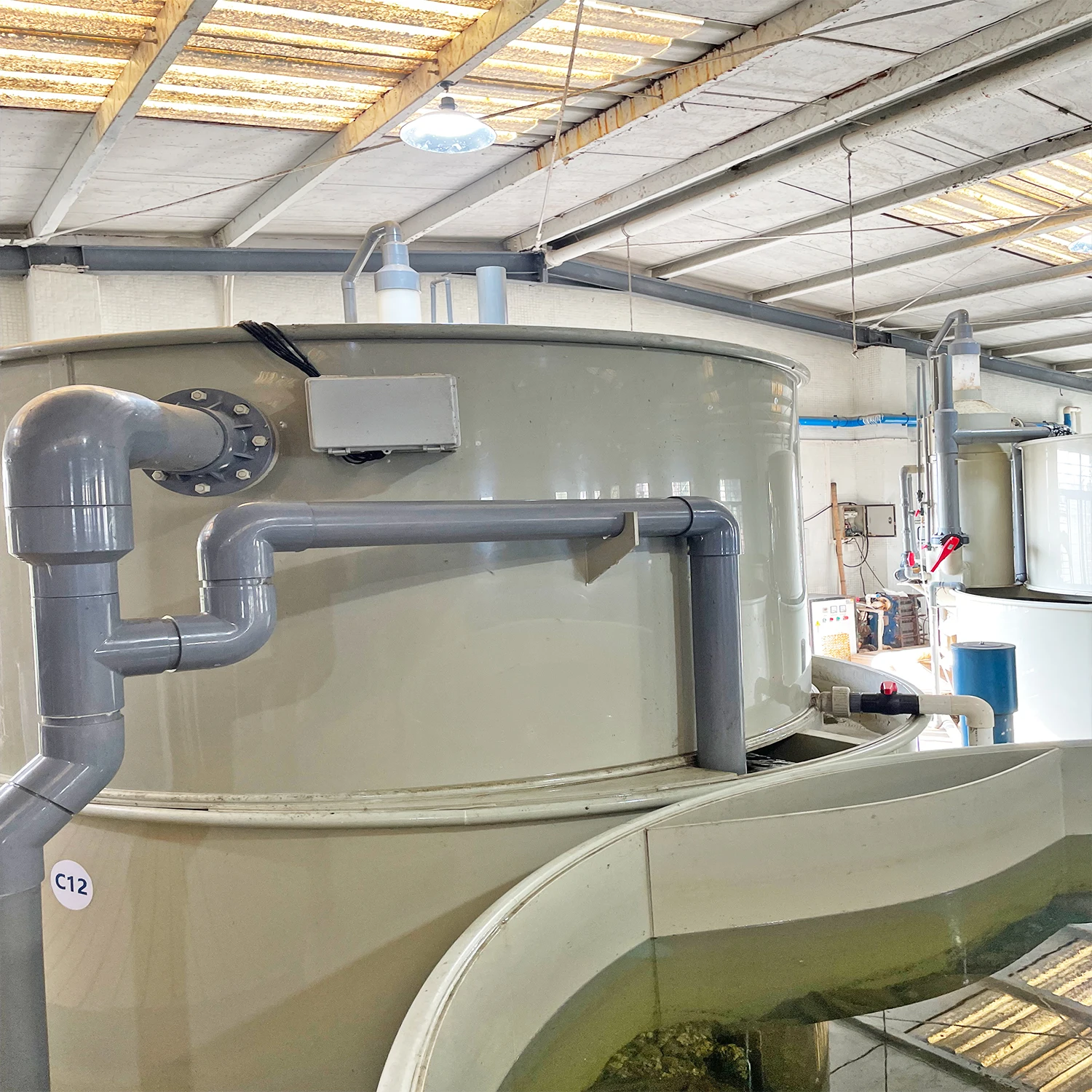 Industrial Ras Aquaculture Farming Fish Farming Machine Tilapia Recirculating Aquaculture System Pisciculture Equipment