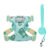 Mint Green Dinosaur