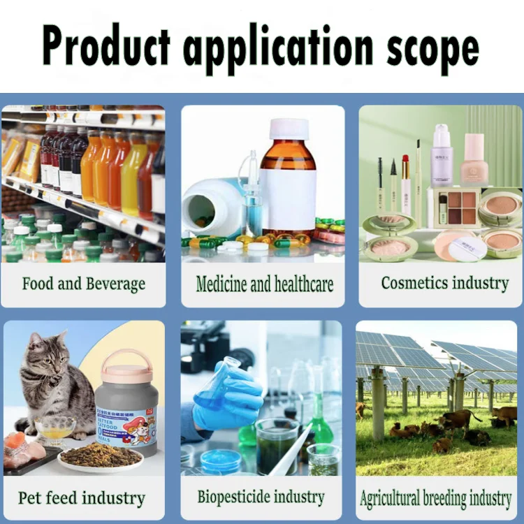Factory Supply 100% Natural Onion Extract Concentrate Liquid Allium Cepa Extract Liquid Onion Flavor